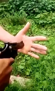 More Punishment from Brazil 