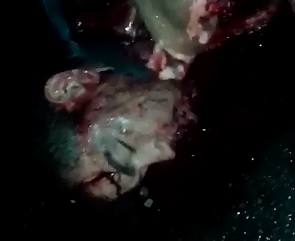 Disgusting..Honestly I have No Idea What Happened to this Kid but its Sick 