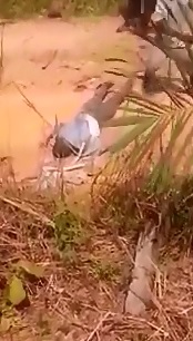 Even a Police Officer cannot Stop a Mob of Pissed off People who Stone a Man to Death inthe Dirt 