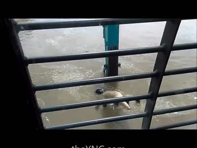 Shocking Video shows Backhoe Operator Removing Naked Dead Girl from River 