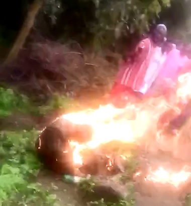 Panicking Thief is Burning Alive 