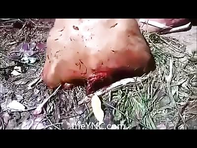 Longer Version of Men Chopping Up Victim 