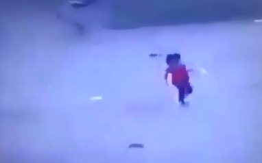 Little Girl is Attacked by Wolf right Outside her House 