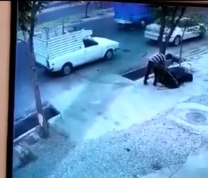 Working Man is Killed in Bizarre Accident, Crushed between 2 Cars 