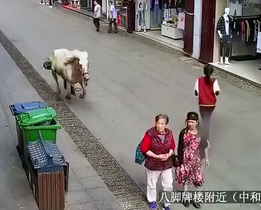 Riderless Horse finds the Perfect Target 