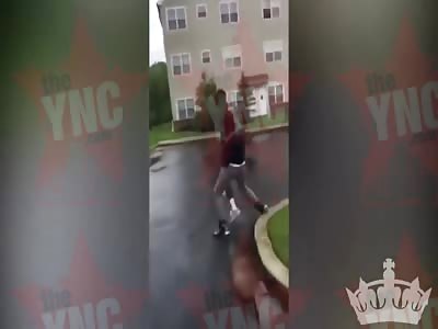 Black vs White Fight