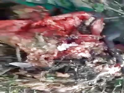 HOLY SHIT: Gas Cylinder Explosion Kills Worker