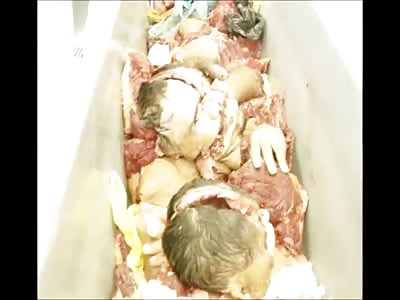 Axsem - La Tierra De Los Sacrificios