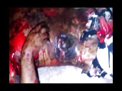 Stars of the YNC #163