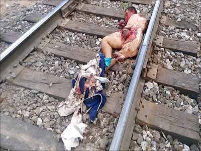 Stars of the YNC #204