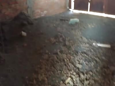 Very Sad Story .. But Happy Ending