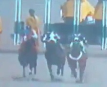 Jockey Dies ... Horse Lives