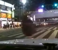 Pedestrian Struck By Bus and Killed