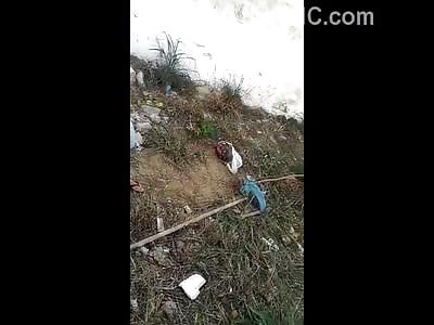 People filming the head in a bag