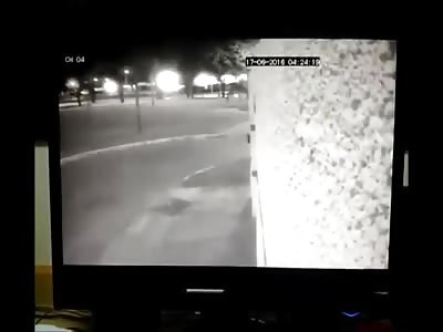 Retired police officer was executed and thrown out of moving car 