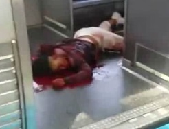 Woman Fatally Stabbed on a Chicago Train 