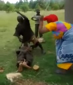 Town including Children and Woman in Clown Outfit Beat Thief 