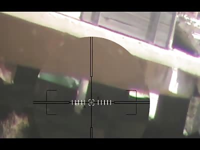 Some assad regime loyalists being killed by snipers