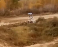 Racing Referee Killed in Viewing Cage