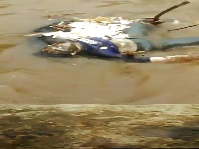 Dead Body Found Floating