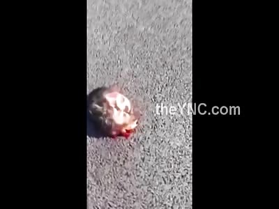 Biker Ripped Apart by Guard Rail... Body Parts Everywhere