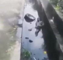 Shocking Video Shows Police Officer Beaten to Death for Killing an Innocent Man