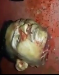 More Footage From Inside The Brazilian Prison Riot