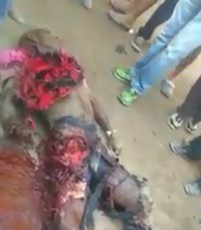 Ripped Apart Man still Breathing After Being Run Over