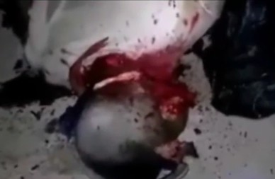 Man Being Brutally Beheaded by Rival Narco Cartel