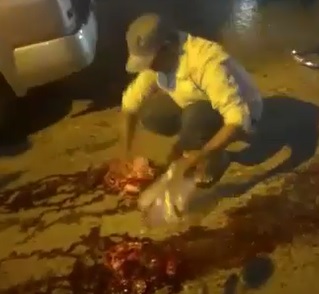 Picking up the Pieces 