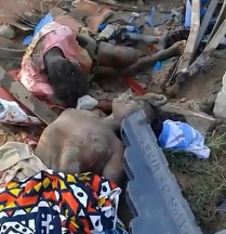 Crane Removes Truck Exposing 2 Women Crushed by it