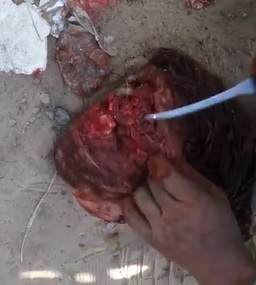 Decapitating and Carving the Eyes out is a New Thing I Guess