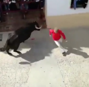 Guy killed by bull .  (Three vids Combined)