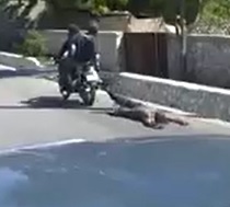 Rivals Dragged by Drug Dealers all Over the Neighborhood .. 