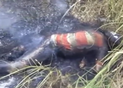 Worker Electrocuted by Power-lines ... Burnt to Crisp