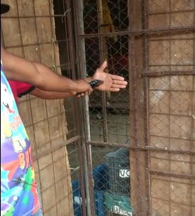 3 Thieves Shot Through the Hands 