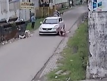 Woman Hit and Killed