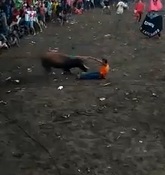 Alternate Angle of Moron vs. Bull