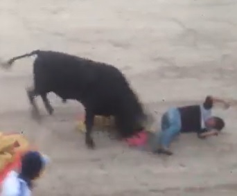Bull vs. Bull Rider.... Bull Wins.