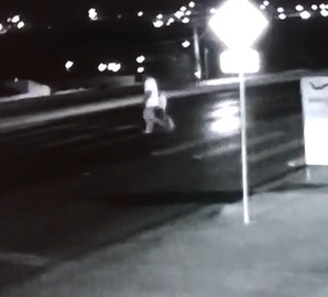 Not Looking Both Ways Kills Couple in Seconds