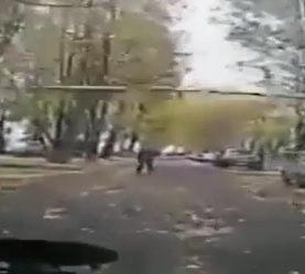 Fallen Tree Kills Old Man (w/Aftermath)