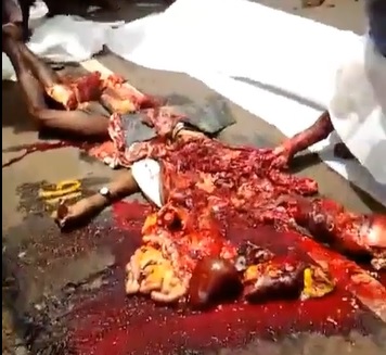 What do you guys think? He Gonna Make it??