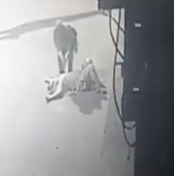 Woman Brutally Shot Dead in the Street