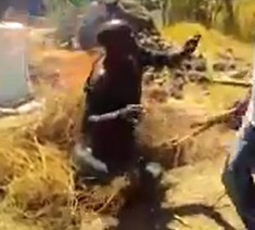 Mob Justice... Burnem 