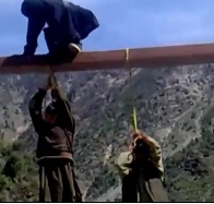 Triple Execution by Hanging... Looks Like They Hang Themselves