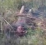 Group of Kidnappers Agonize While they Burn to Death