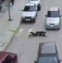 Live Shotgun Murder of Man on the Street (Stop and Shoot)