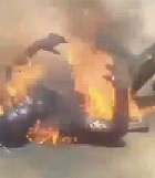 Thieves Find Themselves Turned into a Public BBQ