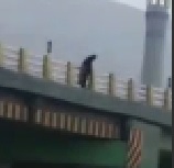 Iranian Girl Jumps Into Freeway Traffic Killing Herself