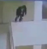 Mall Suicide Jumper (Jump & Splat)